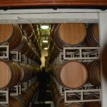 SanAntonio_0136 (June 11, 2016)